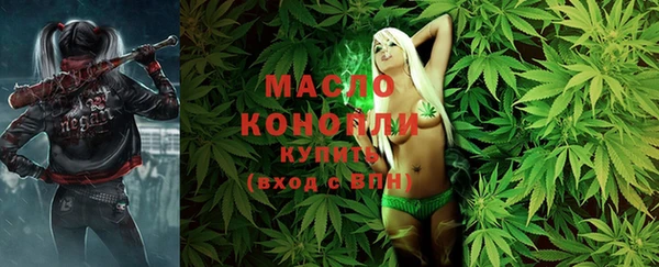 дмт Богородицк