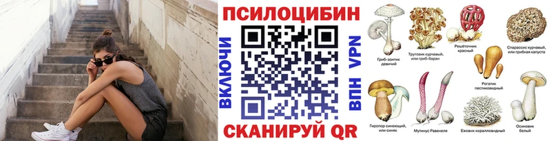 Псилоцибиновые грибы мицелий  Болгар 